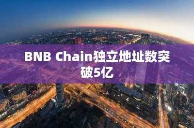 BNB Chain獨(dú)立地址數(shù)突破5億 軟件開發(fā)的新里程碑